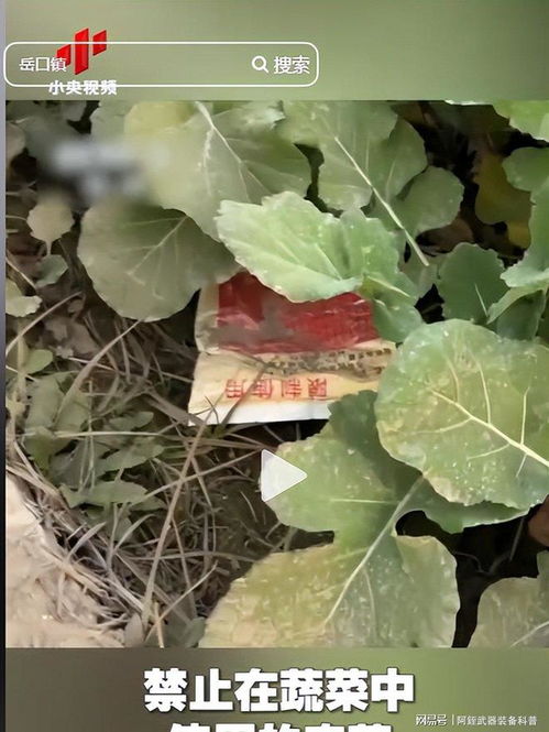 云南‘毒紅薯’事件升級 調查組介入深挖產業(yè)鏈，商戶‘主動投毒’背后的黑幕浮出水面